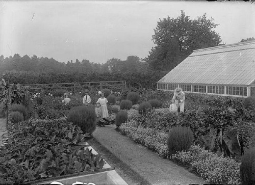 Grapery in garden behind the Hiland Hall Farmhouse in 1911.